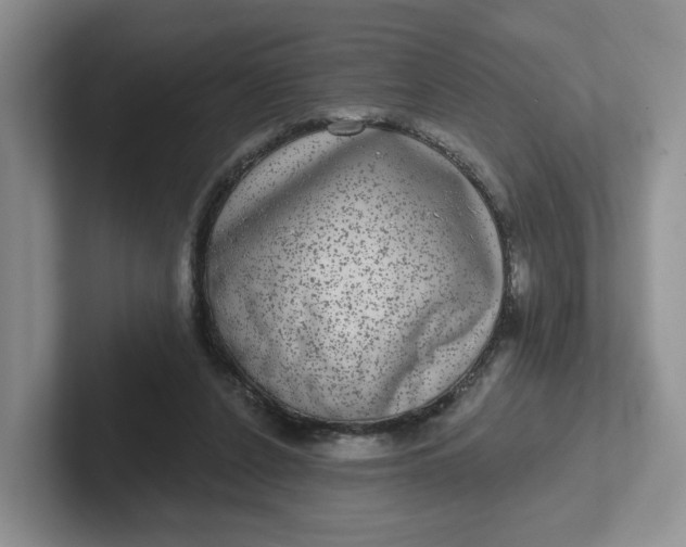 X0000102290256200808081529