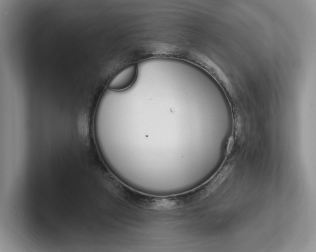 X0000102290257200808081529