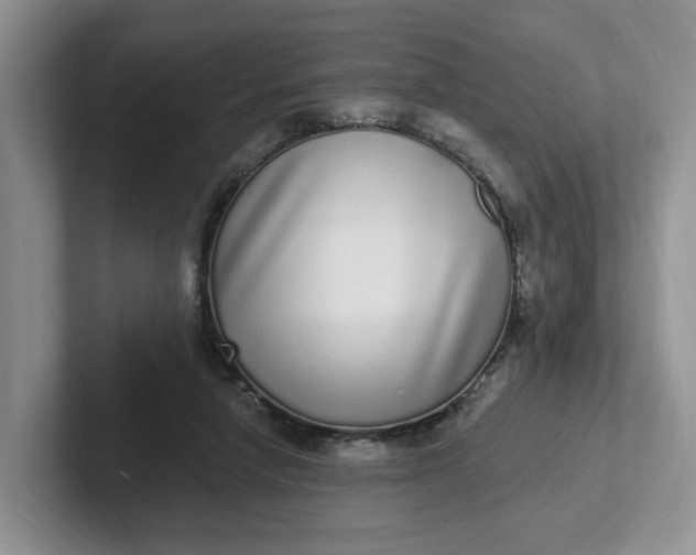 X0000102290258200808081529