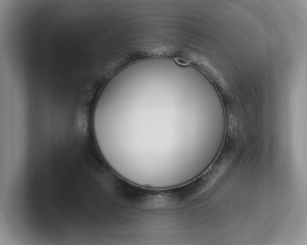 X0000102290259200808081529