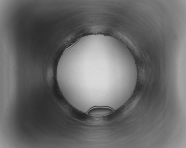 X0000102290260200808081529