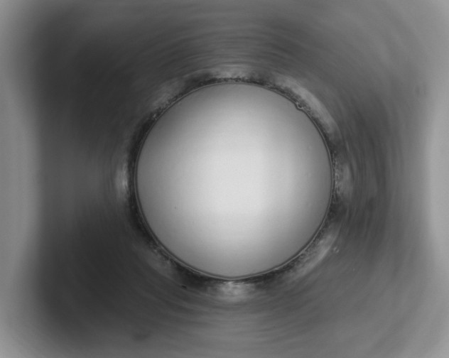 X0000102290261200808081529