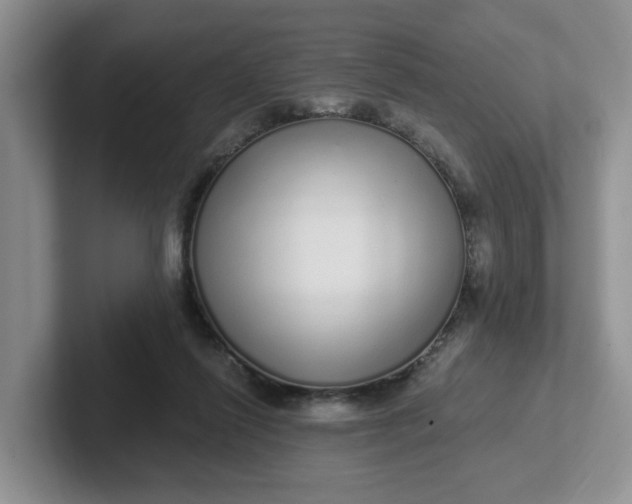 X0000102290262200808081529