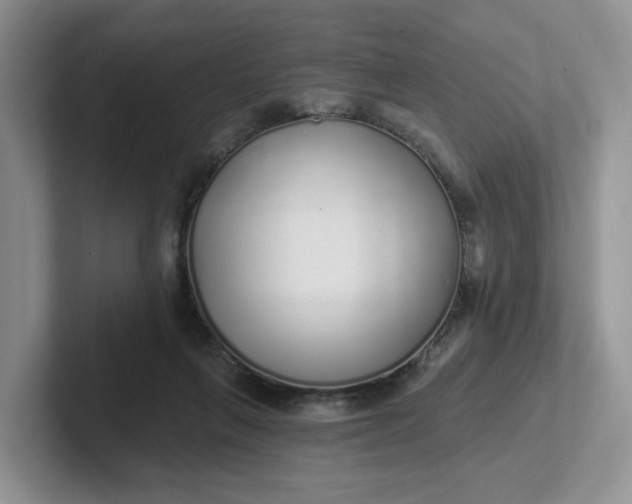 X0000102290263200808081529