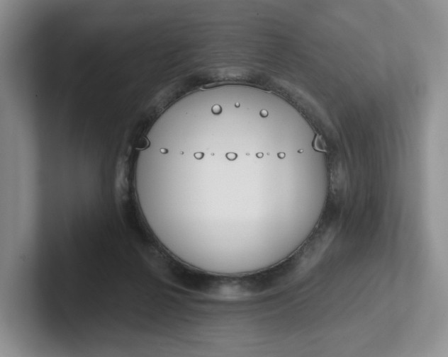 X0000102290264200808081529