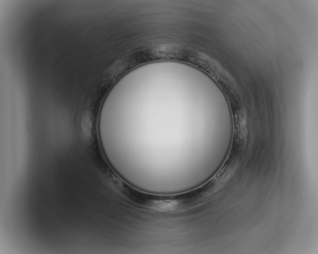 X0000102290266200808081529