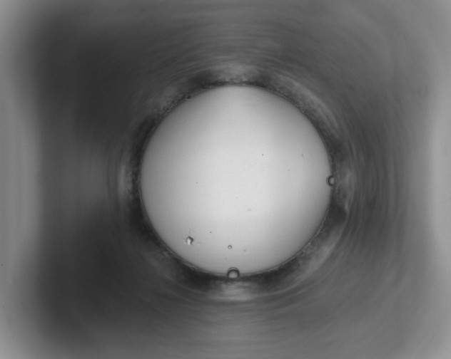 X0000102290268200808081529