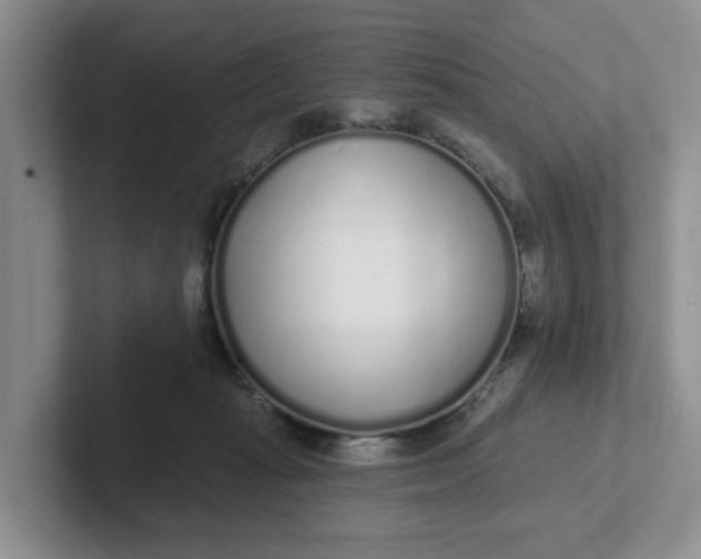 X0000102290269200808081529