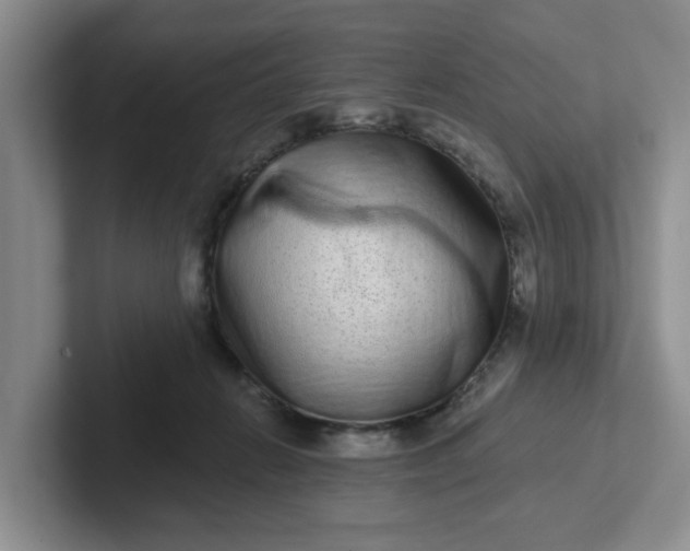 X0000102290270200808081529