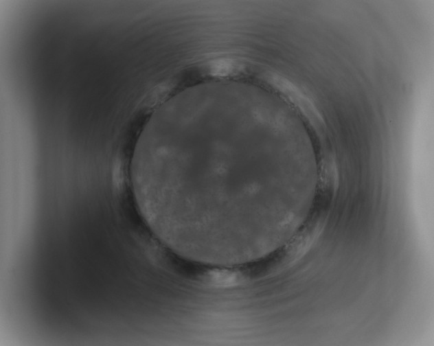 X0000102290272200808081529