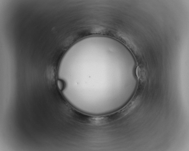 X0000102290273200808081529