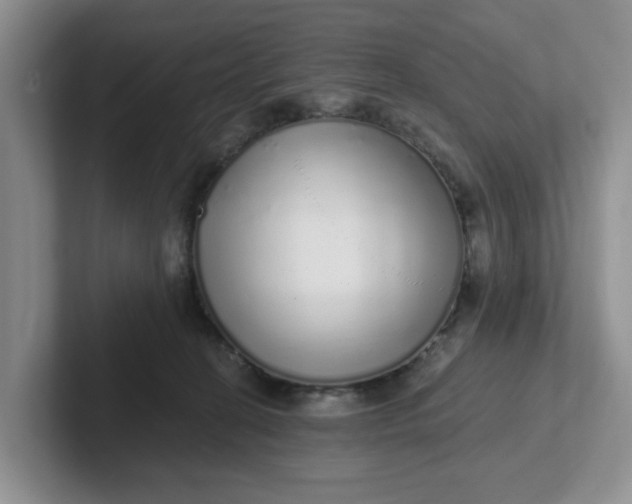 X0000102290274200808081529