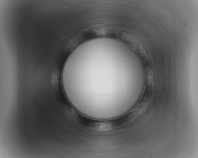 X0000102290275200808081529