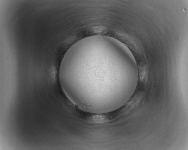 X0000102290279200808081529