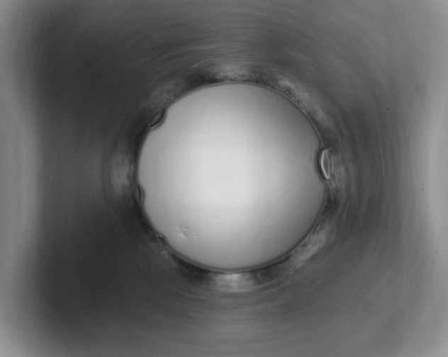 X0000102290281200808081529