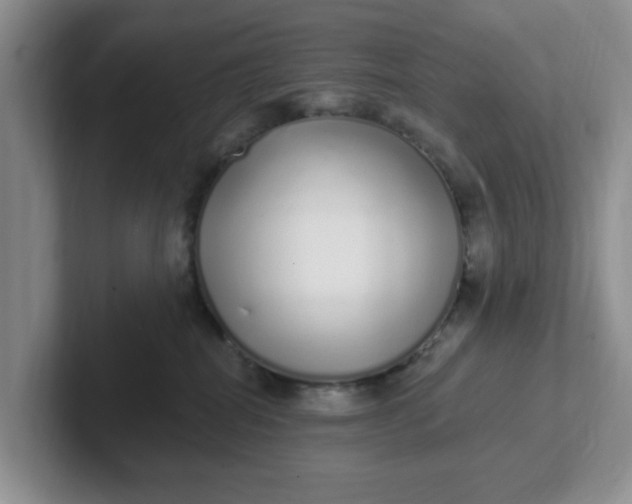 X0000102290282200808081529