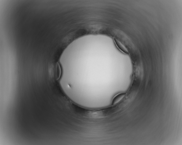 X0000102290283200808081529