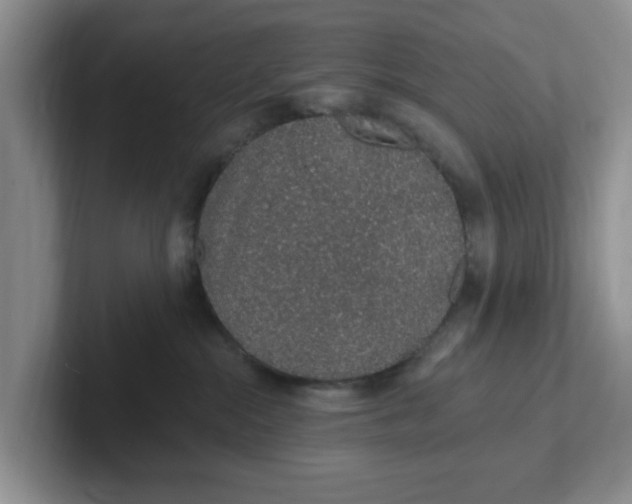 X0000102290284200808081529