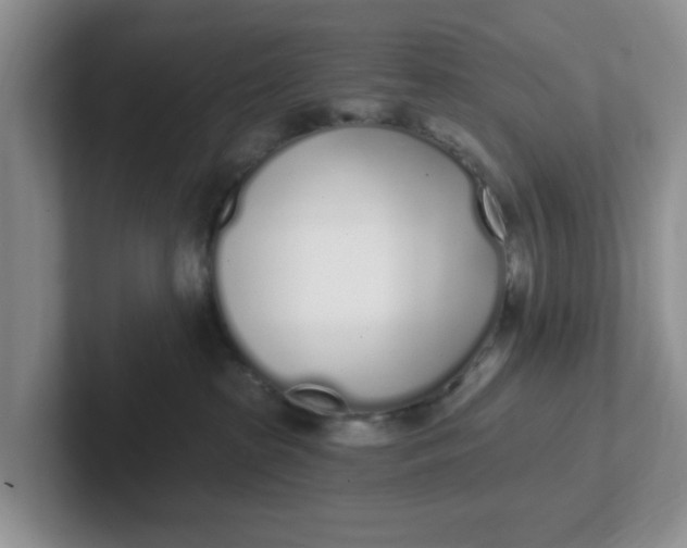 X0000102290285200808081529