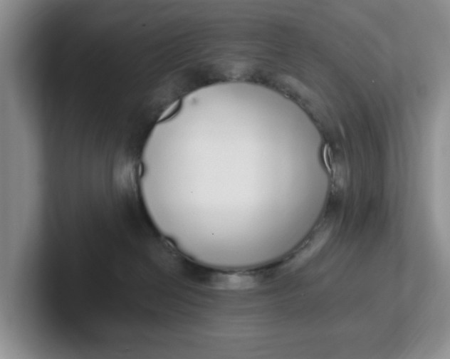 X0000102290286200808081529