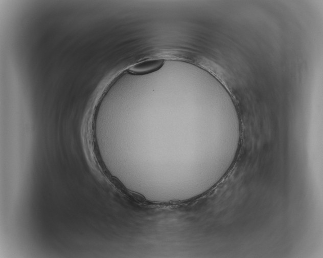 X0000102290289200808081529