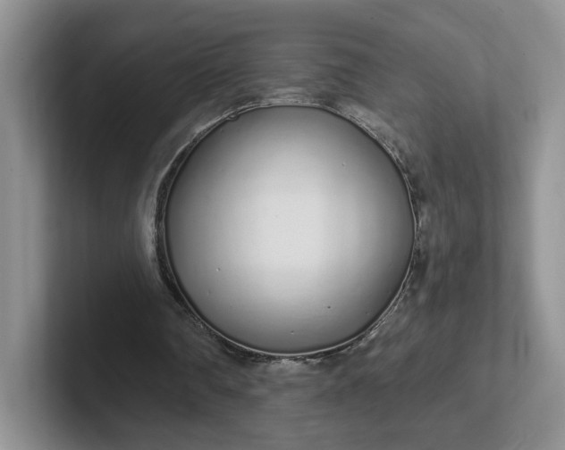 X0000102290290200808081529