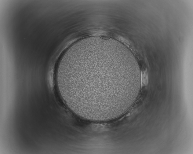 X0000102290291200808081529