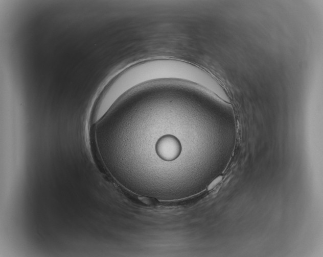 X0000102290292200808081529