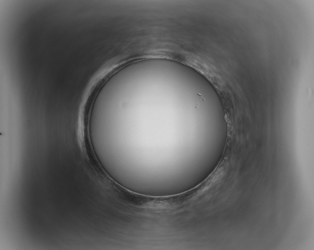 X0000102290294200808081529