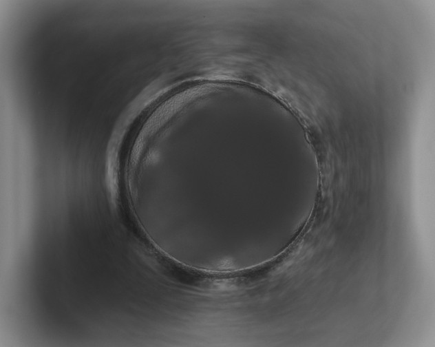 X0000102290295200808081529