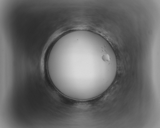 X0000102290296200808081529