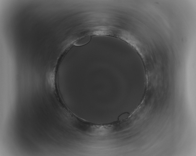 X0000102290297200808081529