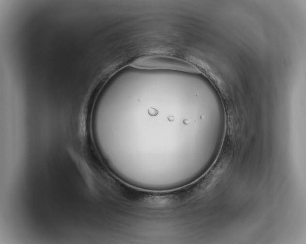 X0000102290299200808081529