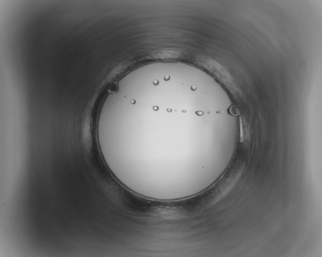 X0000102290300200808081529