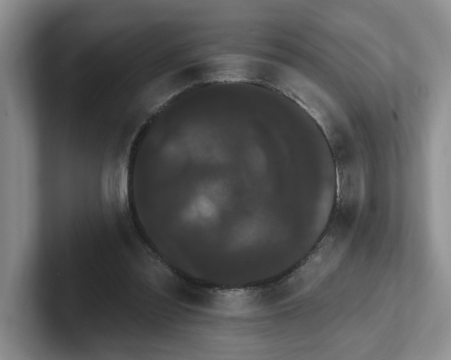 X0000102290301200808081529