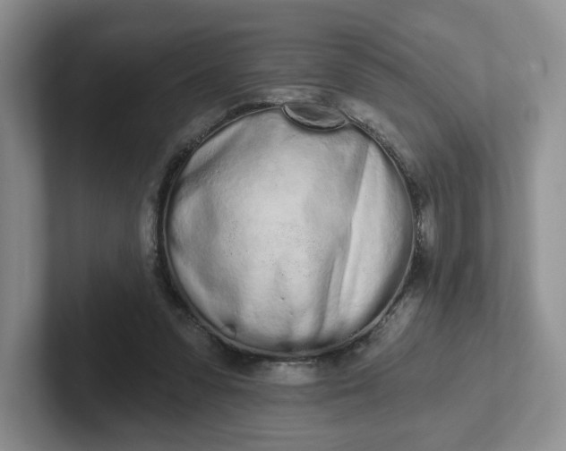 X0000102290303200808081529