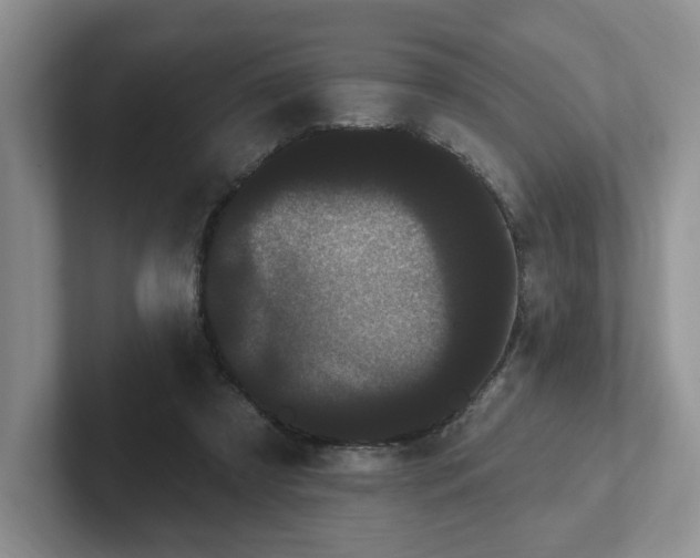 X0000102290305200808081529