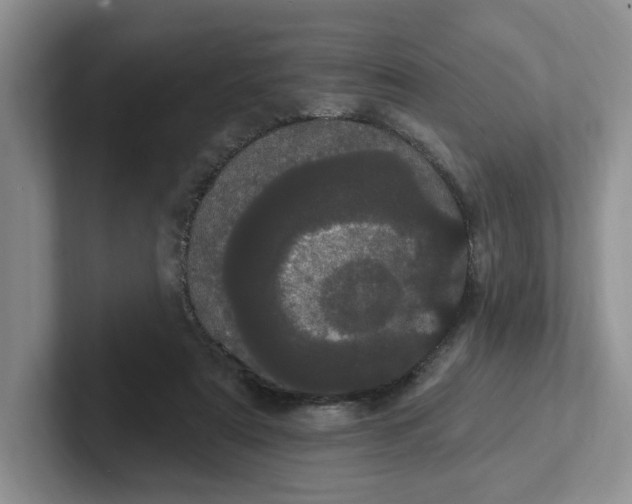 X0000102290307200808081529