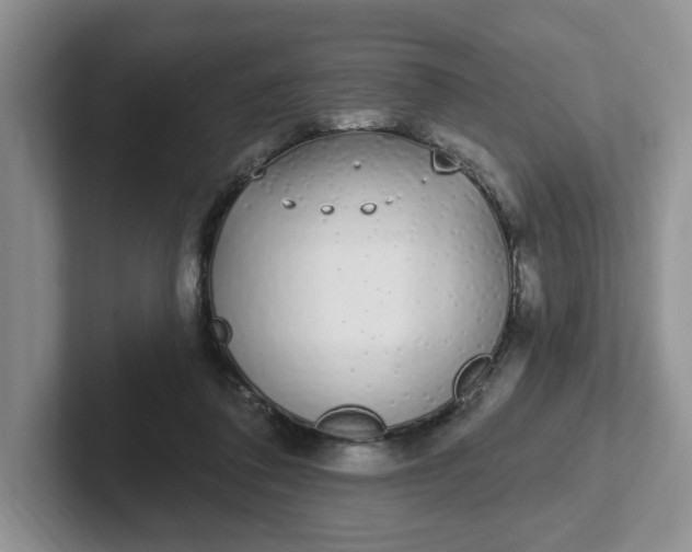 X0000102290308200808081529