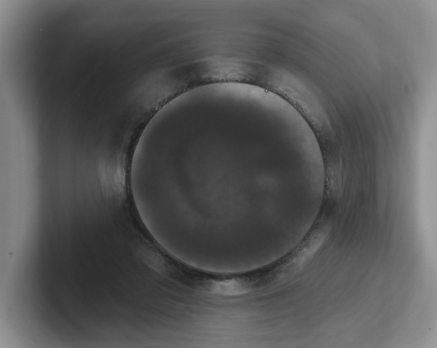 X0000102290309200808081528