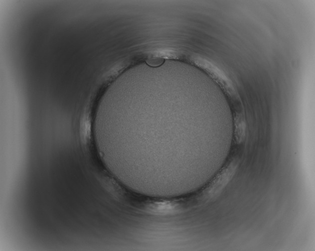 X0000102290310200808081528