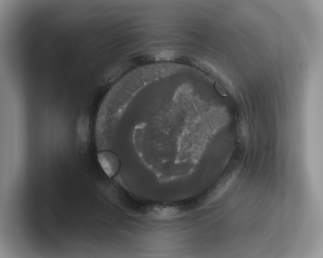 X0000102290311200808081528