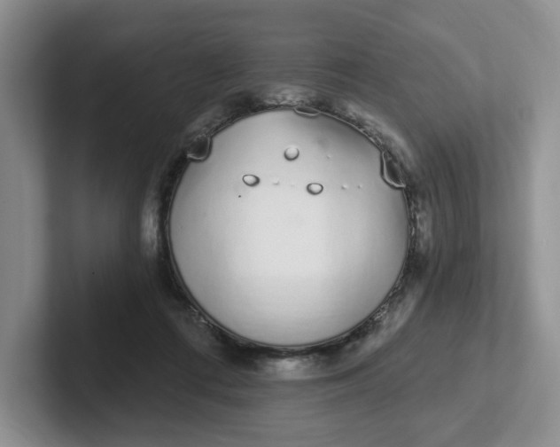 X0000102290312200808081528