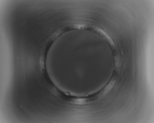 X0000102290313200808081528