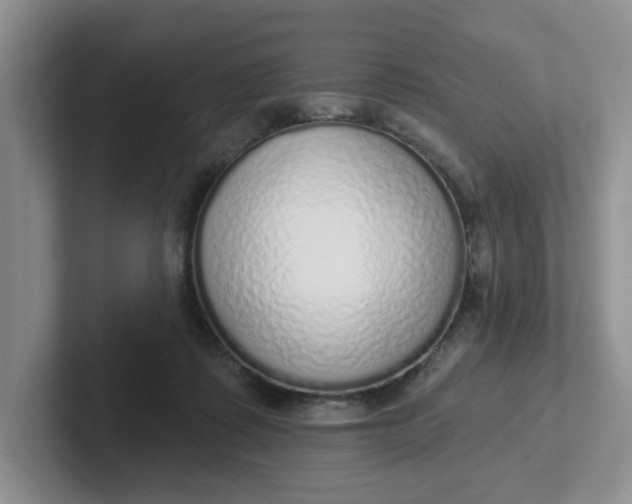 X0000102290315200808081528