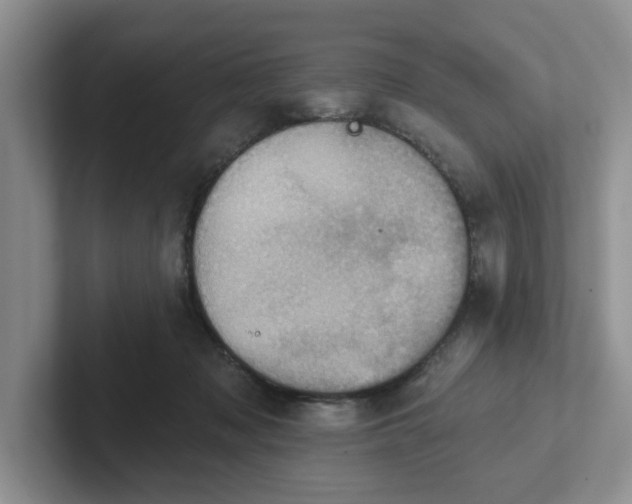 X0000102290317200808081528