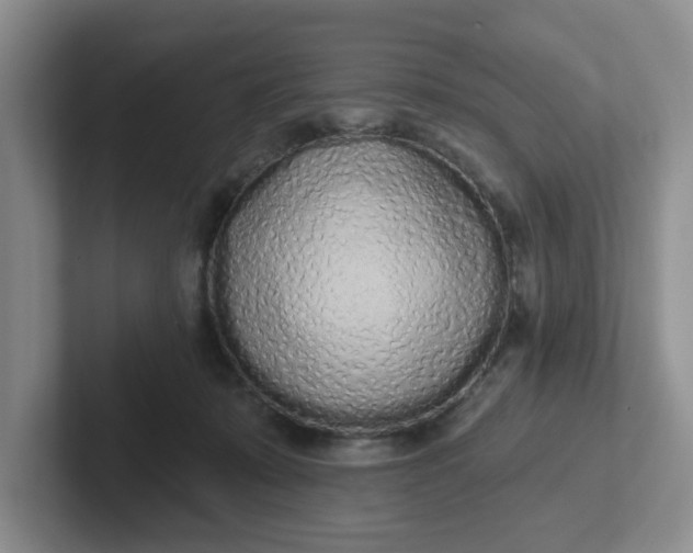 X0000102290319200808081528