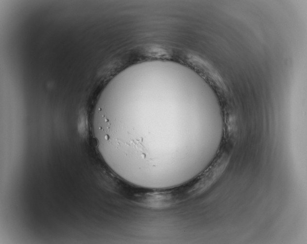 X0000102290320200808081528