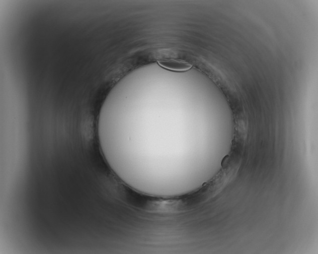 X0000102290323200808081528