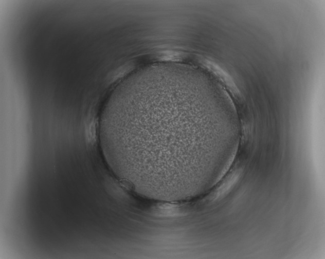 X0000102290325200808081528